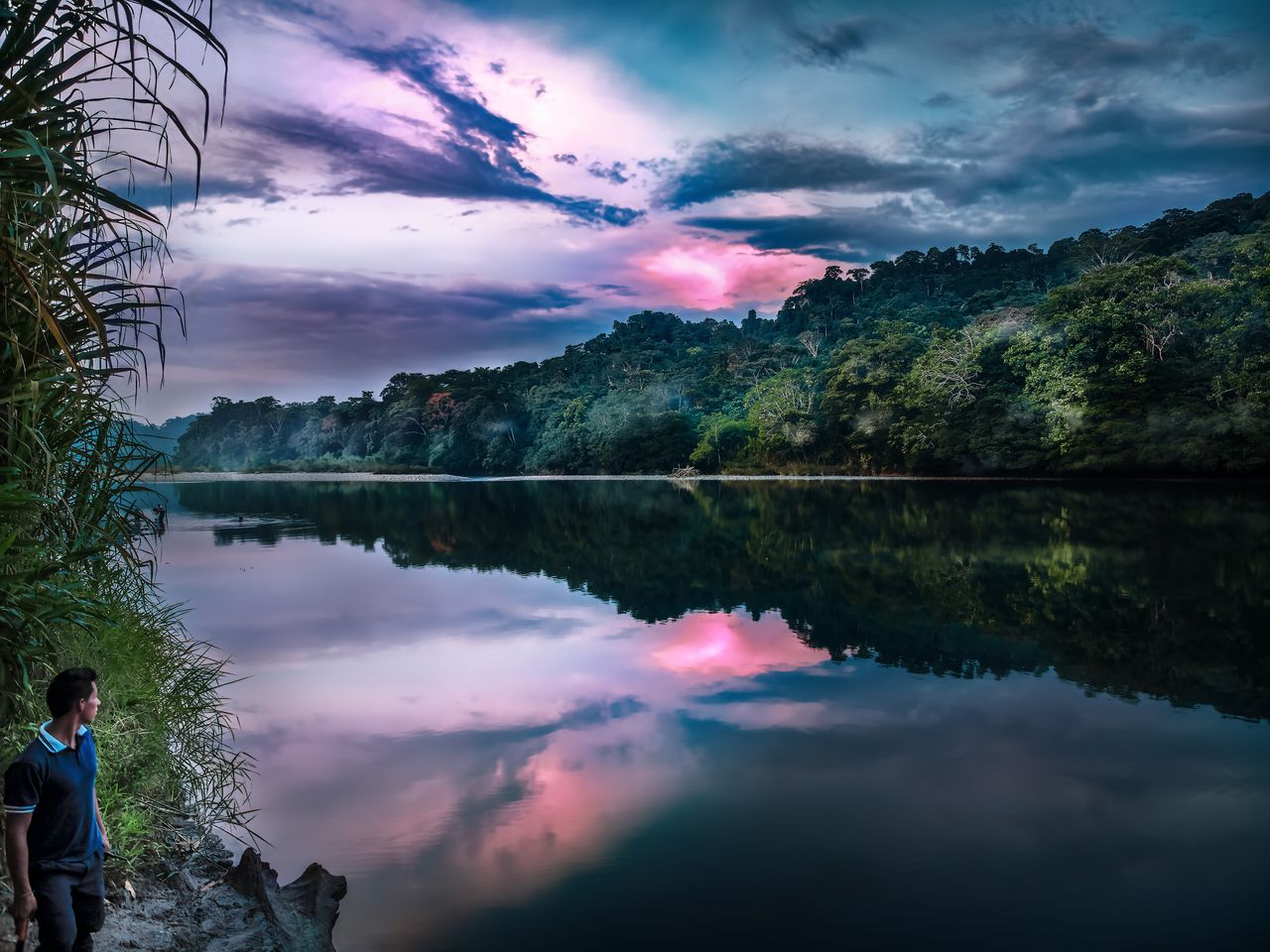 Ecuador: Cloud Forest & Amazon